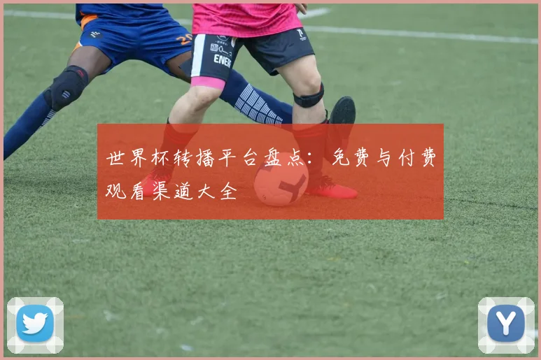 世界杯转播平台盘点:免费与付费观看渠道大全