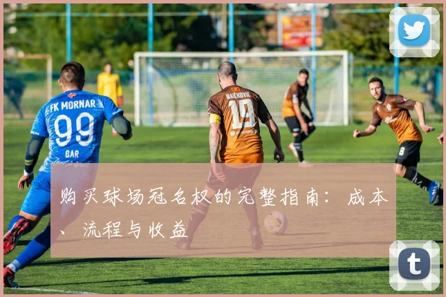 购买球场冠名权的完整指南:成本、流程与收益