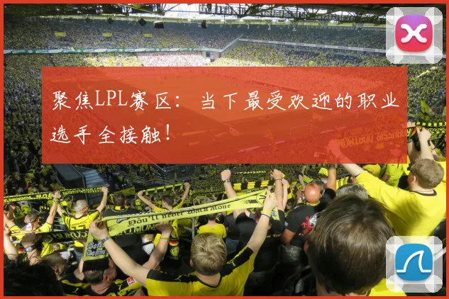 聚焦LPL赛区:当下最受欢迎的职业选手全接触!